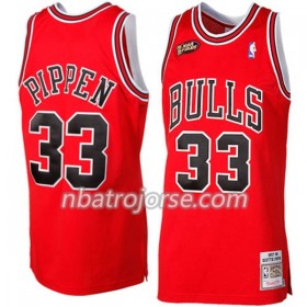 Män Chicago Bulls Tröja Scottie Pippen 33 Hardwood Classics Röd Swingman